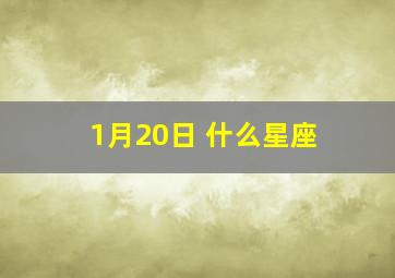 1月20日 什么星座